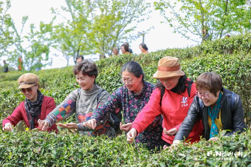 福州（晉安）春茶開采節啟幕