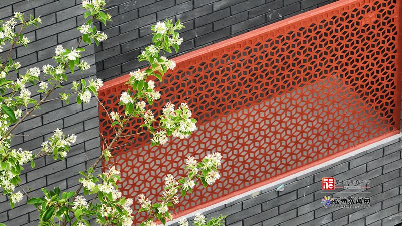 福州市洋下小學計劃年內完成擴建 特選流蘇門前“迎賓”