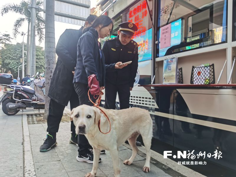 晉安區加大養犬登記工作 登記數量居全市前列 晉安區加大養犬登記工作 登記數量居全市前列