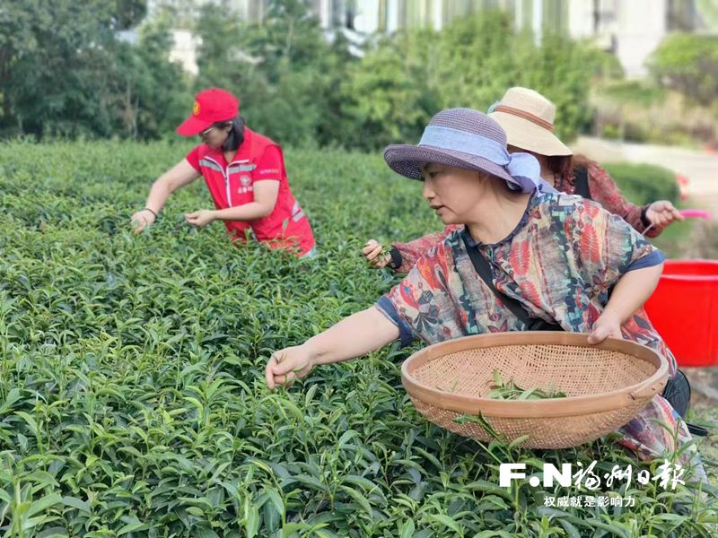 晉安宦溪鎮創新舉措服務留守群眾 晉安宦溪鎮創新舉措服務留守群眾