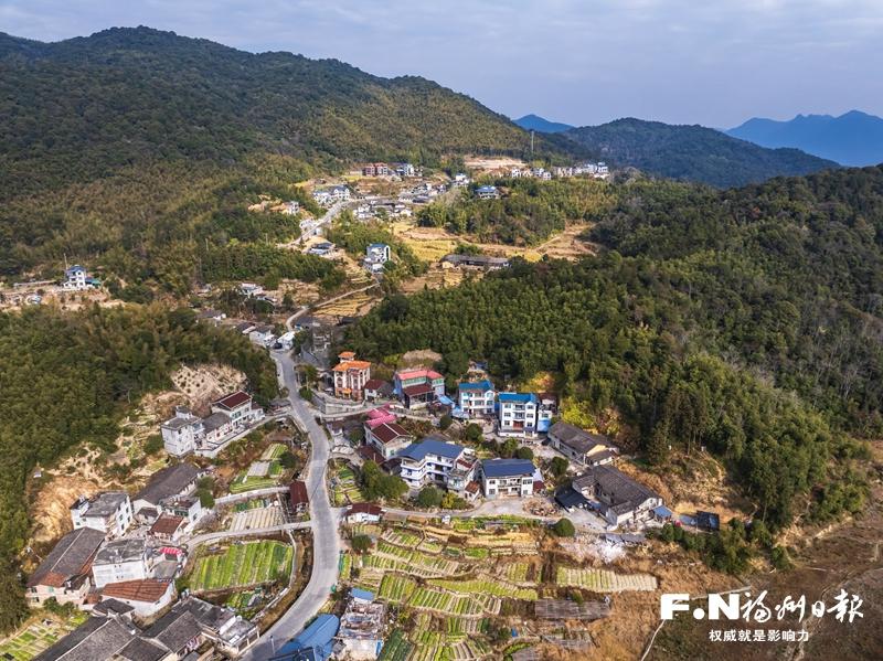晉安：轉出生機 小村撂荒地披綠生金