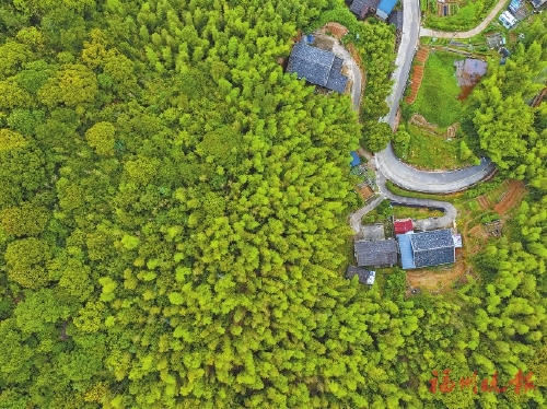 榮獲“全國文明村”“省級鄉村振興示范村”等榮譽  晉安點洋村：文明新風吹　共富闖新路