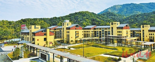 晉安區社會福利中心疫情期間推出各種活動豐富老人生活