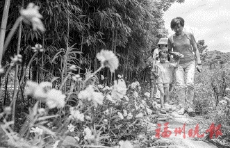 晉安“黨建+”服務　引領全域旅游發展