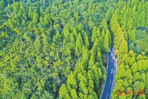 全景公路風景美　小康路上面貌新
