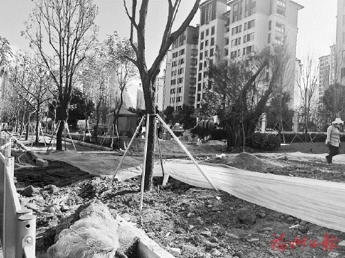 【網絡中國節·春節】城市環境大清理　城市景觀大提升