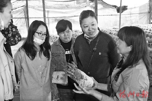 山上人忙生產　山下人幫變現
