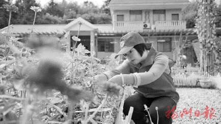 “在為大家服務中找到了自己的人生舞臺”  前洋村里好姐妹　振興路上好幫手