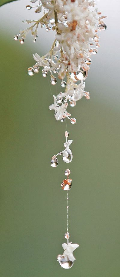【網絡中國節·谷雨】谷雨：一切美好奔赴而來