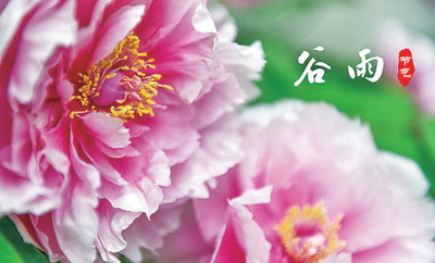 【網絡中國節·谷雨】谷雨：一切美好奔赴而來