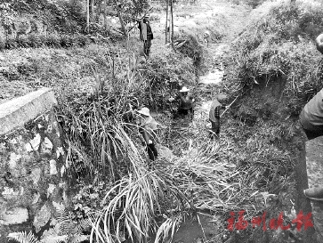 晉安壽山鄉(xiāng)發(fā)動(dòng)3400多人次　共建清潔家園