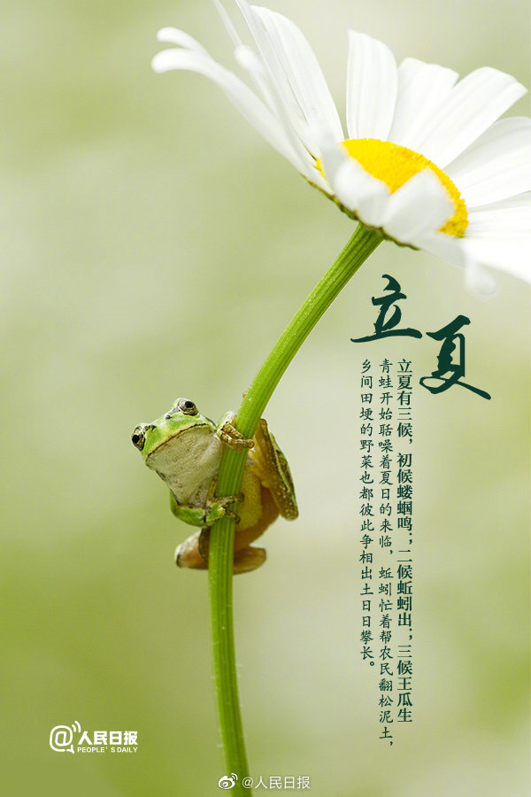 【網絡中國節·立夏】【今日立夏，又到夏天啦】