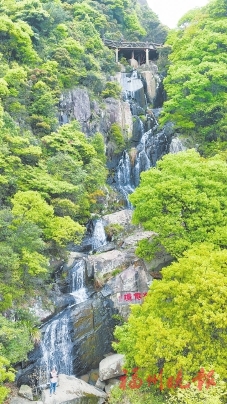 鼓嶺推出親子輕徒步線路  途經(jīng)古梅園、泠谷、鼓嶺仙境、牛頭崖等景點