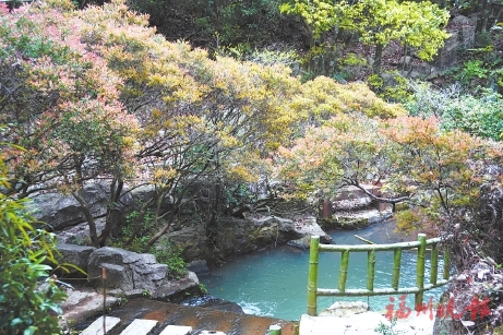 鼓嶺推出親子輕徒步線路  途經(jīng)古梅園、泠谷、鼓嶺仙境、牛頭崖等景點