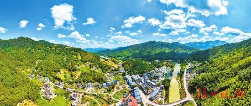 晉安日溪村積極探索新型農村集體經濟發展模式  種植致富“黃金果”唱響畬鄉振興曲