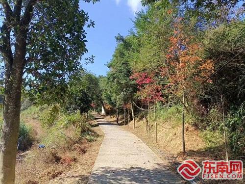 主題教育｜宦溪鎮宦溪村：消除火災隱患，筑牢秋冬森林“防火墻”