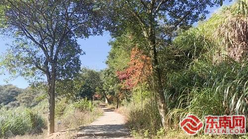 主題教育｜宦溪鎮宦溪村：消除火災隱患，筑牢秋冬森林“防火墻”