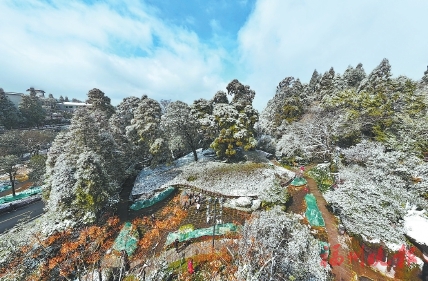 全市54個鄉鎮降雪　你“追雪”了嗎？  第二場雪還會來嗎？氣象專家來答疑