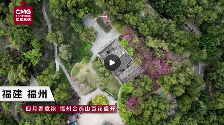 四月春意濃 福州金雞山百花盛開