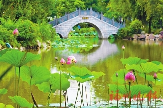 暑假開啟，“神獸”何處放養(yǎng)？  遛娃寶藏地　就在這些公園里