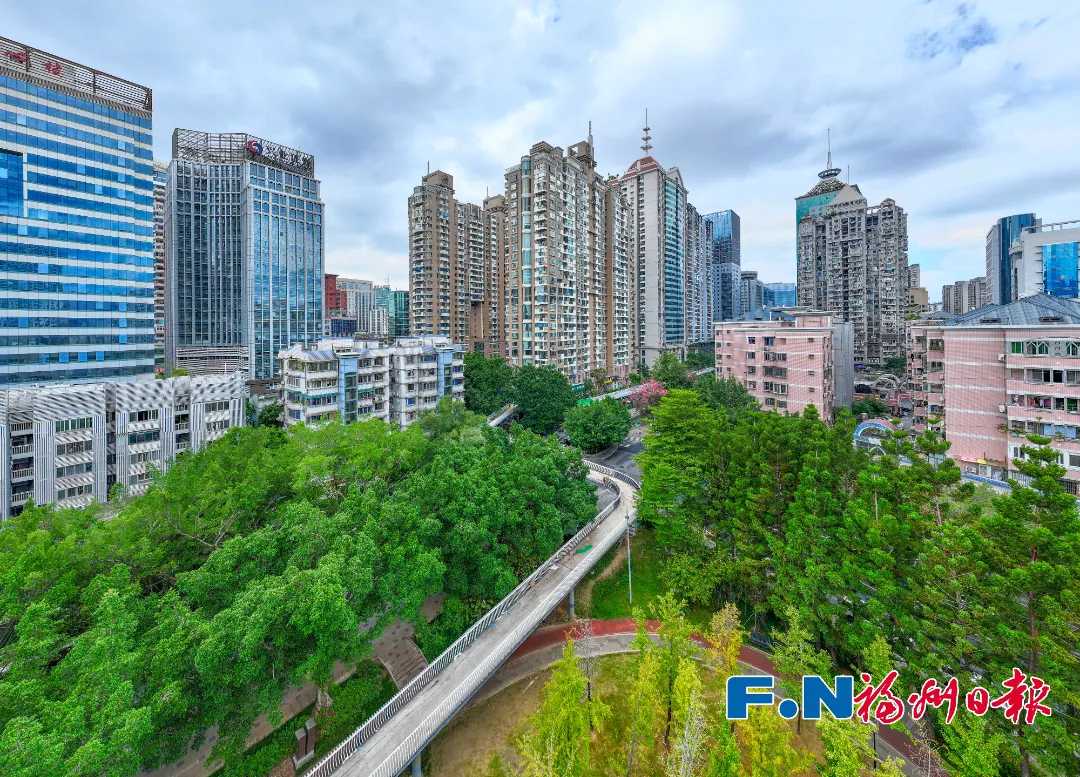 金雞山?金牛山！福州首條高空景觀步道來了！