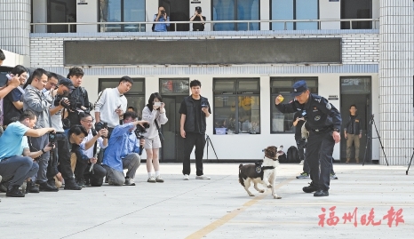 搜爆是能手，安保當先鋒，破案成利器……  福州警犬“神一樣的隊友”練成記