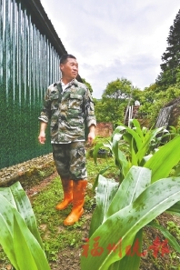 返鄉帶動村民邁向共富  施秀宏：做有情懷的“新農人”