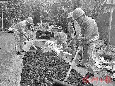 楊孝敏：養(yǎng)路站為家　守護(hù)15公里“生命線”