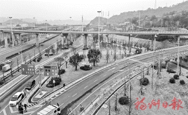 “最美園中互通”景觀帶基本建成