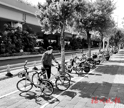加強治違宣傳　注重文明執法