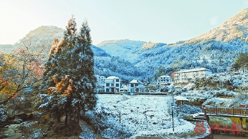 一夜飛雪榕城驚艷