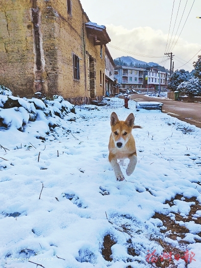 一夜飛雪榕城驚艷