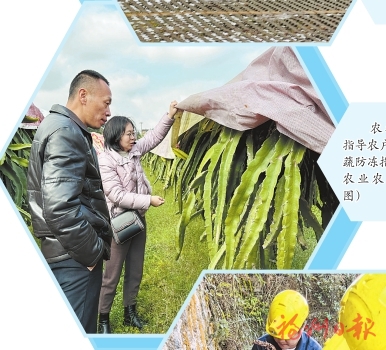 以雪為令迎寒而上　筑牢福州“溫暖防線”