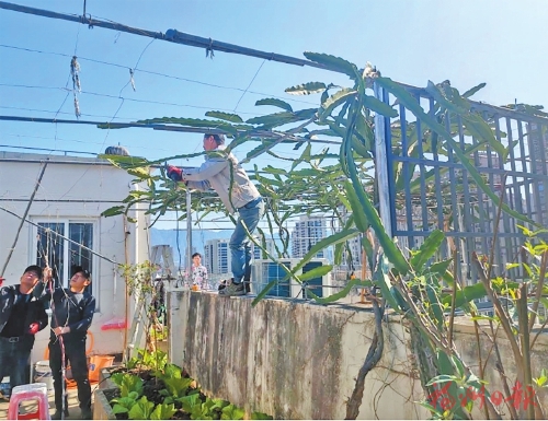 福州市“兩違”綜合治理  晉安拆除新增違建23宗面積893平方米