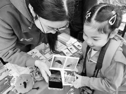 福州愛鳥護鳥主題活動啟動 面向中小學生征集觀察常見鳥的自然筆記