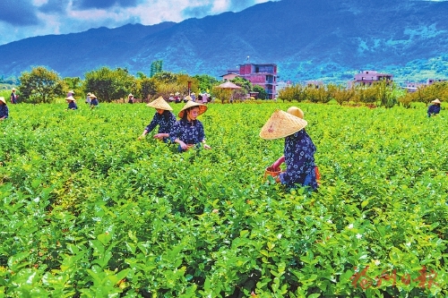入選農遺十年，記者對話親歷者、見證者，聆聽背后的故事——  “這是春天的開始”