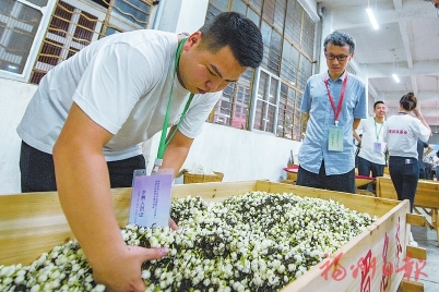 入選農遺十年，記者對話親歷者、見證者，聆聽背后的故事——  “這是春天的開始”