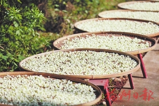 入選農遺十年，記者對話親歷者、見證者，聆聽背后的故事——  “這是春天的開始”