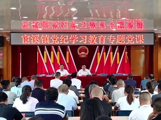 鑄堅強堡壘 樹先鋒旗幟！宦溪鎮(zhèn)開展慶“七一”暨黨紀學習教育系列主題活動