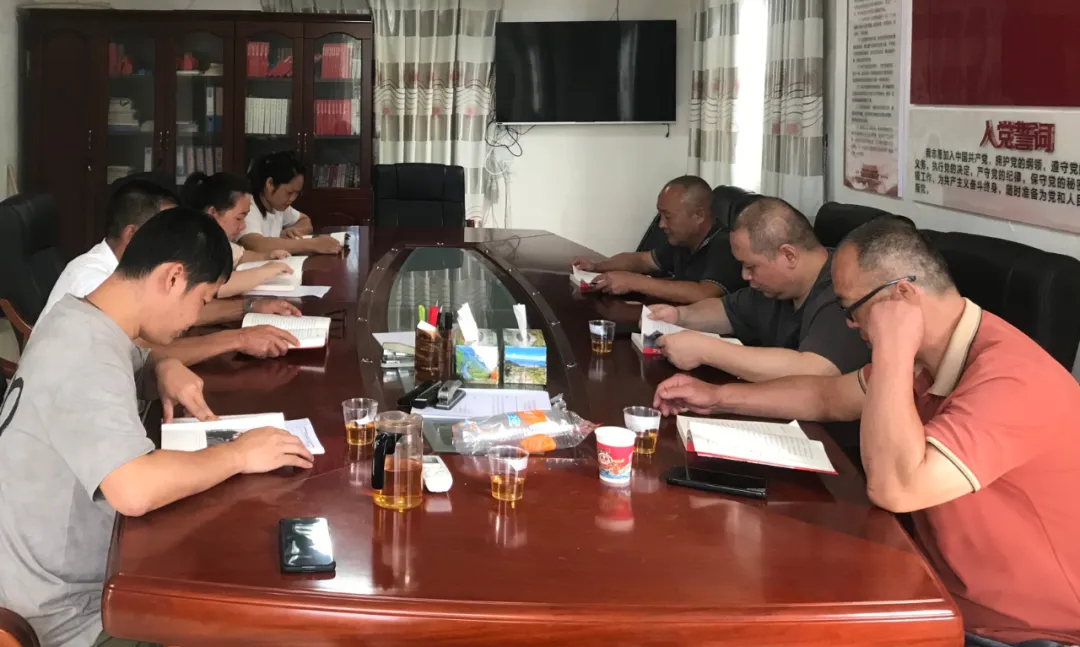 鑄堅強堡壘 樹先鋒旗幟！宦溪鎮(zhèn)開展慶“七一”暨黨紀學習教育系列主題活動