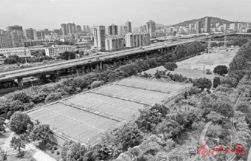 “吞”污水“吐”清水為內河“解渴”