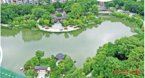 為水辛苦為水忙　護好“榕顏”清且美