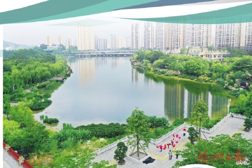 為水辛苦為水忙　護好“榕顏”清且美