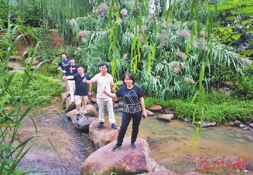 為水辛苦為水忙　護好“榕顏”清且美