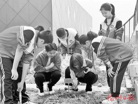 不負(fù)“雙減”好時(shí)光  福州各中小學(xué)妙招頻出，開(kāi)辟育人新天地