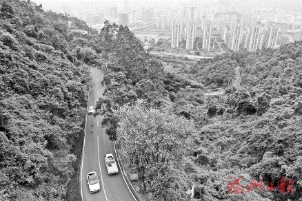 算好“兩本賬”，我市造林綠化重點(diǎn)轉(zhuǎn)移  不僅“綠起來”更要“好起來”