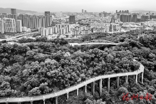 圍繞民之所需　真正造綠為民  他們持續(xù)擦亮“千園之城”底色