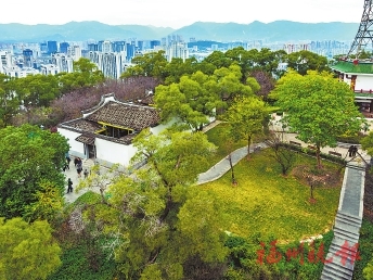 金雞山公園修繕一新，沙灘公園將種10萬株郁金香  新面貌新景觀迎新年