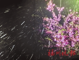 2024年福州第一場雪來了!  昨日連發多個預警　本報梳理“下雪六問”