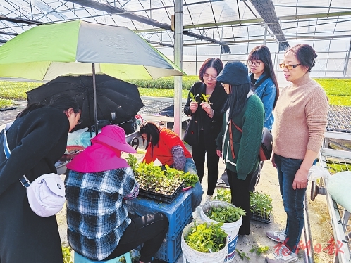 揚帆新時代　榮耀“半邊天”  ——我市各級婦聯團結帶領廣大婦女積極投身巾幗“五大行動”
